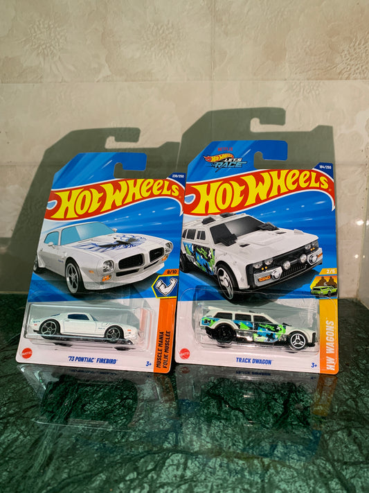 73 Pontiac Firebird & Track Dwagon Combo